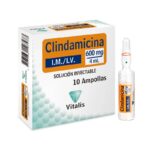 CLINDAMICINA 600MG / 4ML